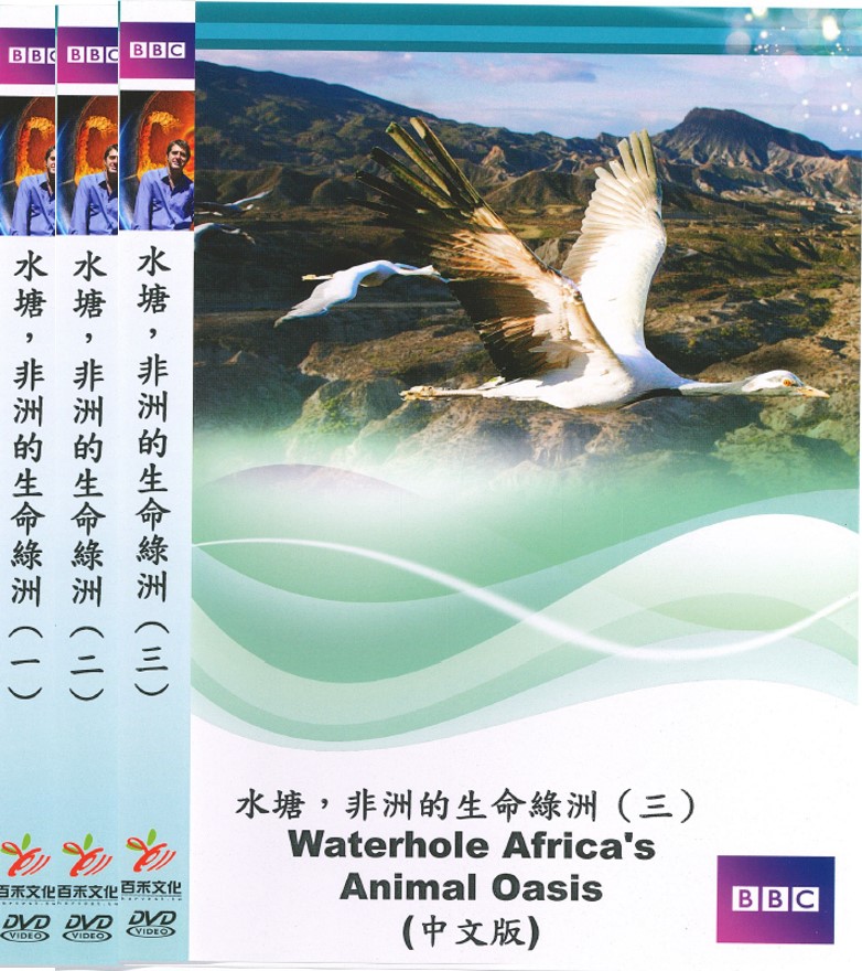 水塘, 非洲的生命綠洲 Waterhole Africa