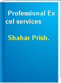 Professional Excel services