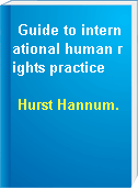 Guide to international human rights practice